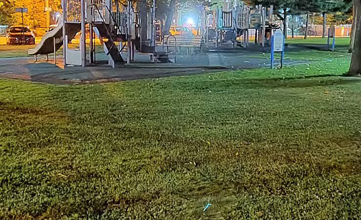 Zion Park - Lawrence, NY