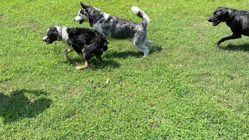 Mitzi L. Sweet Memorial Dog Park - Lawrenceburg, TN