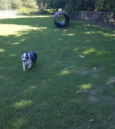 Mitzi L. Sweet Memorial Dog Park - Lawrenceburg, TN