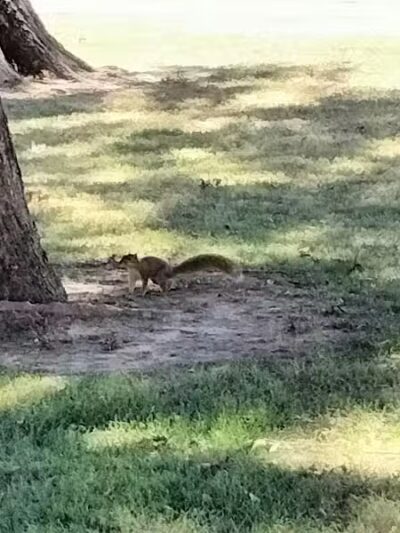 Lawrenceville City Park - Lawrenceville, IL