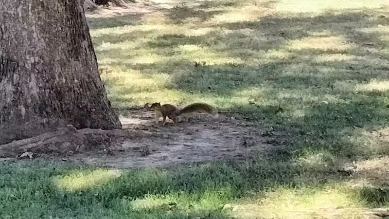 Lawrenceville City Park - Lawrenceville, IL