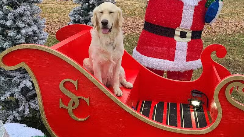 Lawrenceville City Park - Lawrenceville, IL