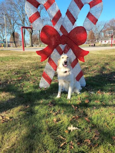 Lawrenceville City Park - Lawrenceville, IL