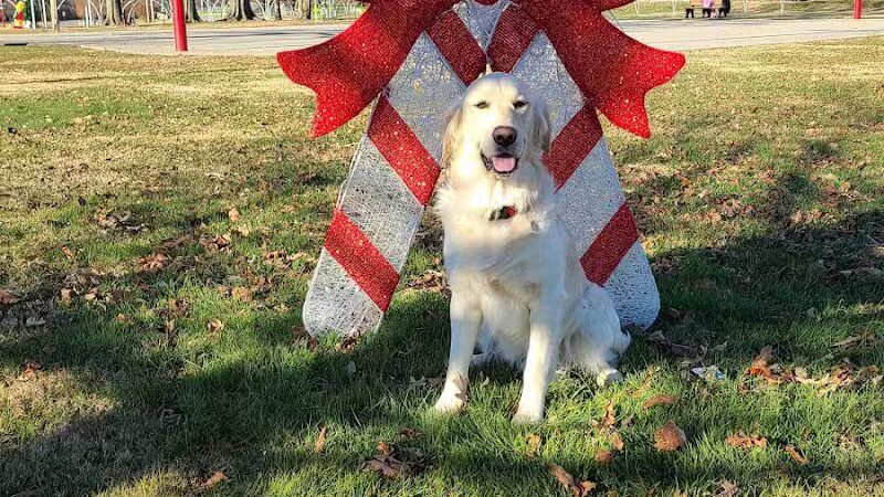 Lawrenceville City Park - Lawrenceville, IL