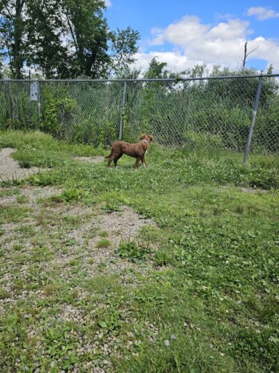 Emmans Park - Ledgewood, NJ