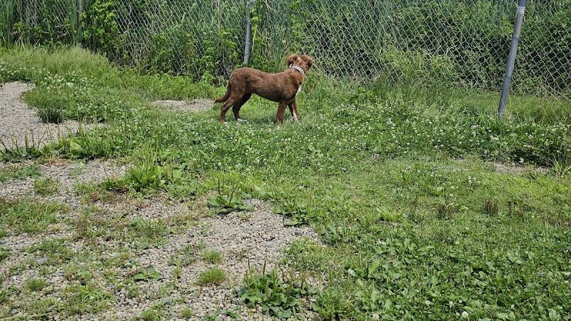 Emmans Park - Ledgewood, NJ