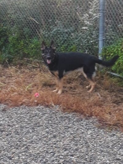 Emmans Park - Ledgewood, NJ