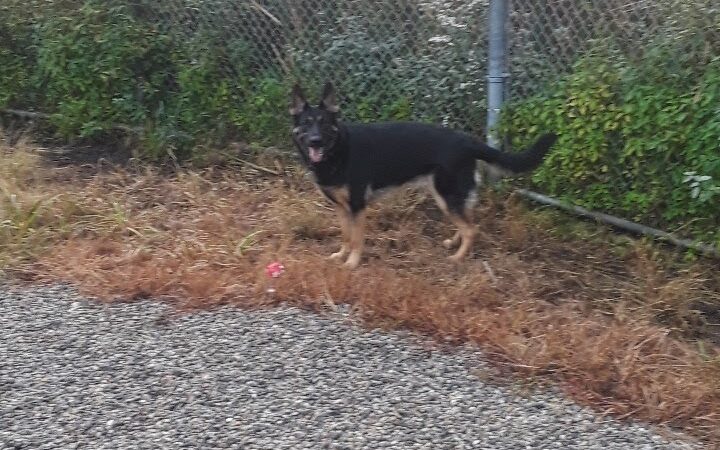 Emmans Park - Ledgewood, NJ