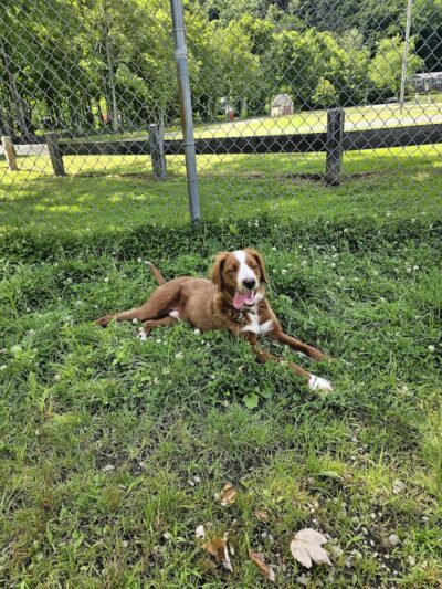 Emmans Park - Ledgewood, NJ