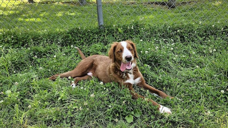 Emmans Park - Ledgewood, NJ