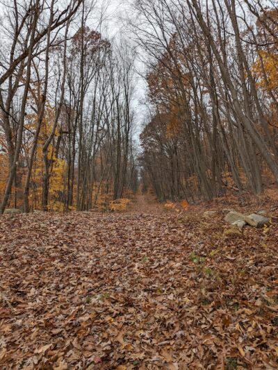 Morris Canal Park - Ledgewood, NJ