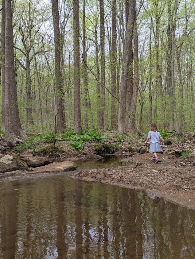 Morris Canal Park - Ledgewood, NJ
