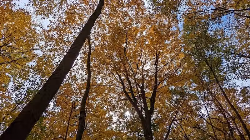 Morris Canal Park - Ledgewood, NJ
