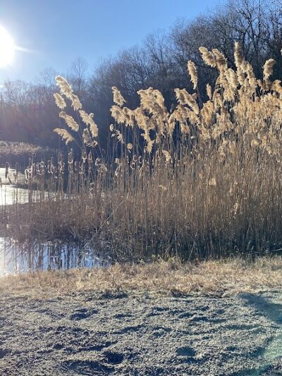 Morris Canal Park - Ledgewood, NJ