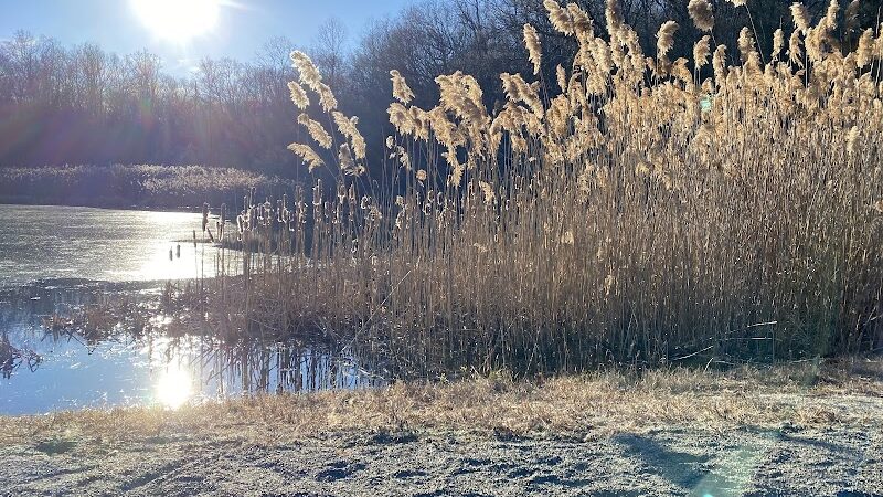 Morris Canal Park - Ledgewood, NJ