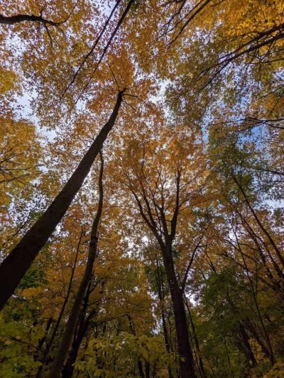 Morris Canal Park - Ledgewood, NJ