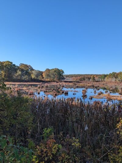 Avery Farm Nature Preserve - Ledyard, CT