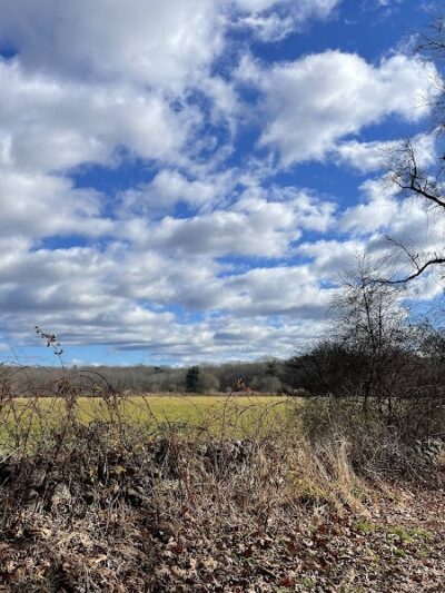 Avery Farm Nature Preserve - Ledyard, CT