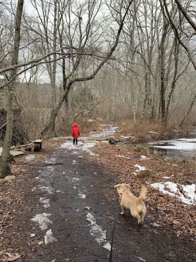 Avery Farm Nature Preserve - Ledyard, CT