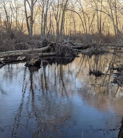 Avery Farm Nature Preserve - Ledyard, CT
