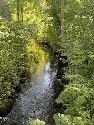Avery Farm Nature Preserve - Ledyard, CT