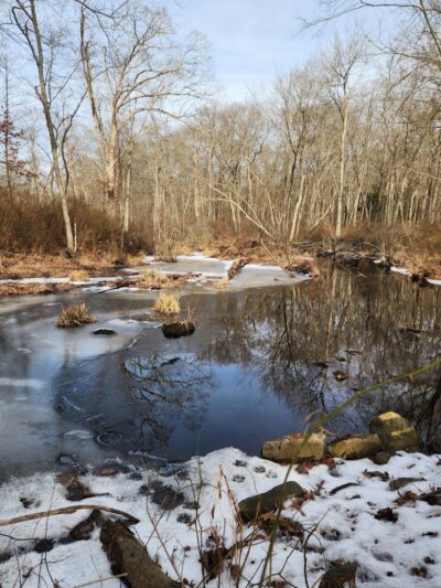 Avery Farm Nature Preserve - Ledyard, CT