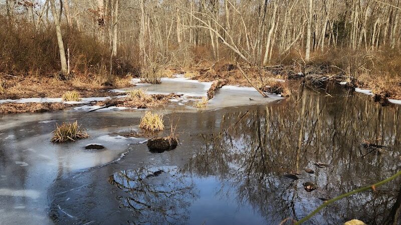 Avery Farm Nature Preserve - Ledyard, CT