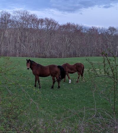 Avery Farm Nature Preserve - Ledyard, CT