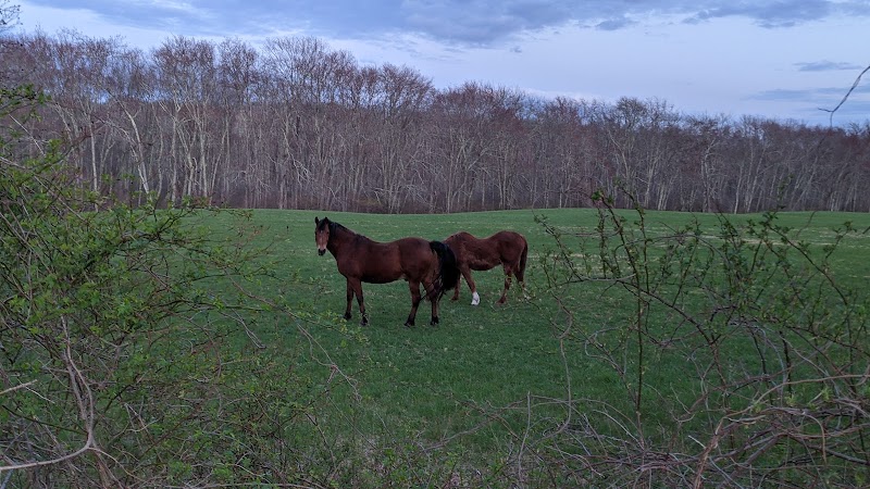Avery Farm Nature Preserve - Ledyard, CT