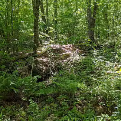 Colonel Ledyard Park - Ledyard, CT