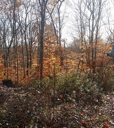 Colonel Ledyard Park - Ledyard, CT