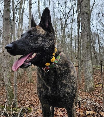 Colonel Ledyard Park - Ledyard, CT