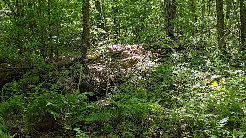 Colonel Ledyard Park - Ledyard, CT