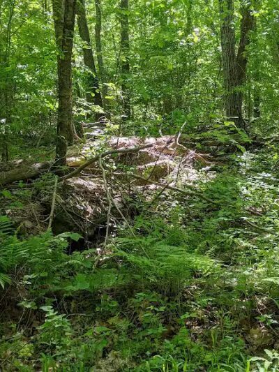 Colonel Ledyard Park - Ledyard, CT