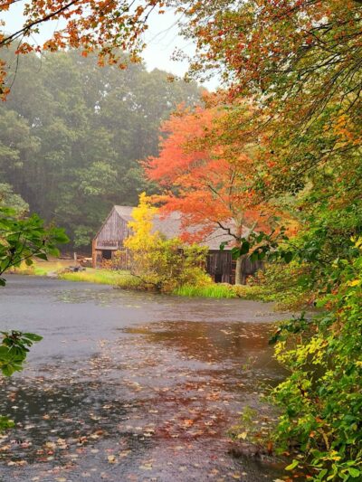 Sawmill Park - Ledyard, CT