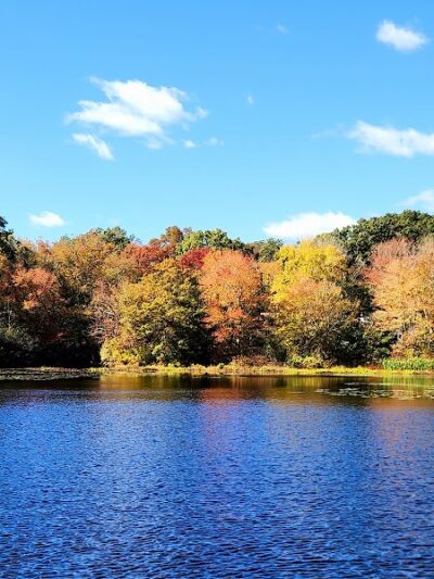 Sawmill Park - Ledyard, CT