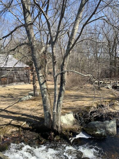 Sawmill Park - Ledyard, CT