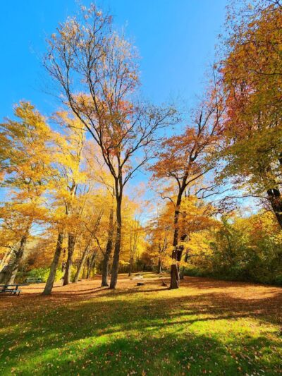 Sawmill Park - Ledyard, CT