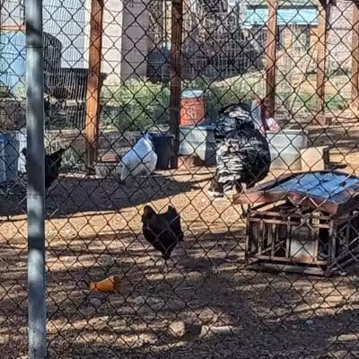 Leeds City Park - Leeds, UT