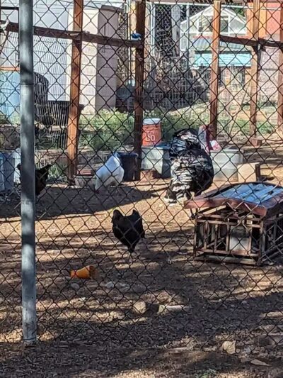 Leeds City Park - Leeds, UT