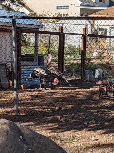 Leeds City Park - Leeds, UT