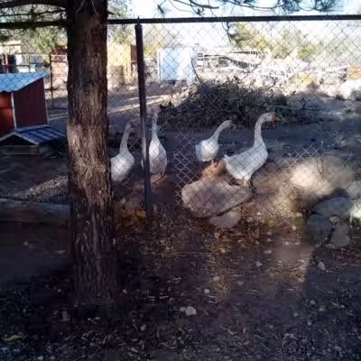 Leeds City Park - Leeds, UT