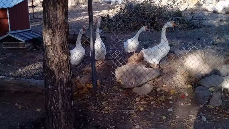 Leeds City Park - Leeds, UT