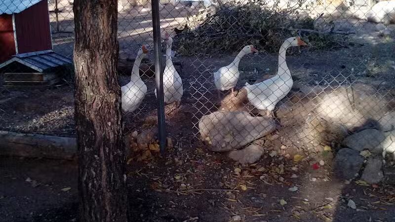 Leeds City Park - Leeds, UT