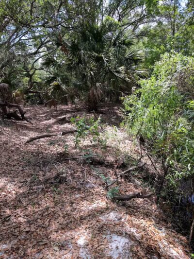 P.E.A.R. Park "Gateway" - Leesburg, FL