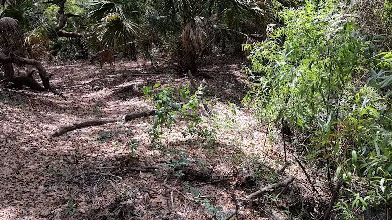 P.E.A.R. Park "Gateway" - Leesburg, FL