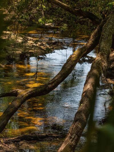 P.E.A.R. Park "Gateway" - Leesburg, FL