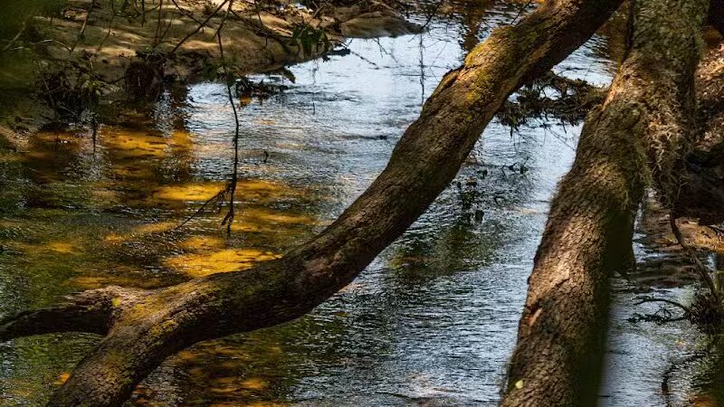 P.E.A.R. Park "Gateway" - Leesburg, FL