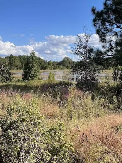 P.E.A.R. Park "Gateway" - Leesburg, FL