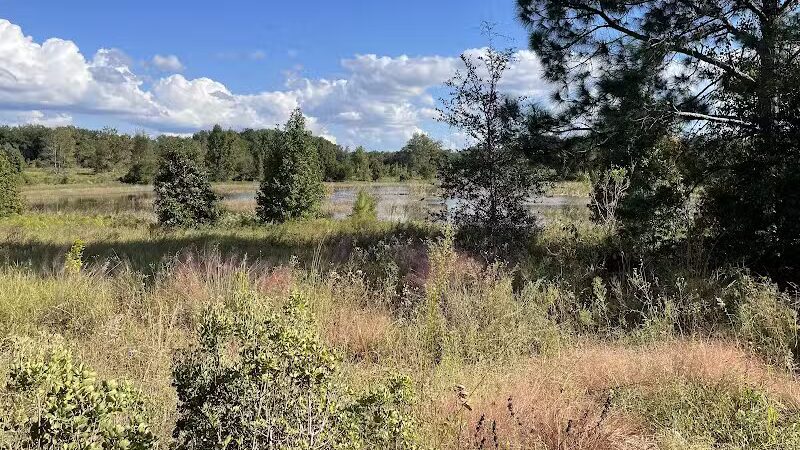 P.E.A.R. Park "Gateway" - Leesburg, FL